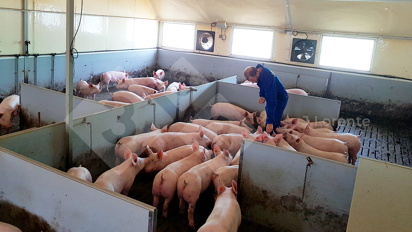 <p>Figure 5. Finishing barn&nbsp;with large groups with the option for&nbsp;paneling and reducing spaces.</p>
